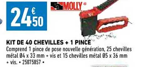 kit de 40 chevilles + 1 pince molly
