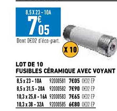 lot de 10 fusibles céramique avec voyant