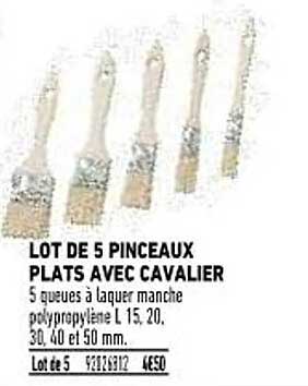 Lot De 5 Pinceaux Plats Avec Cavalier