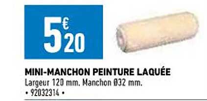 mini-manchon peinture laquée