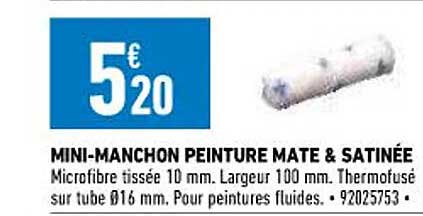 mini-manchon peinture mate & satinée