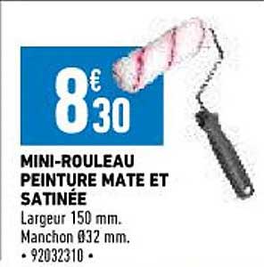 mini-rouleau peinture mate et satinée