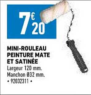 mini-rouleau peinture mate et satinée