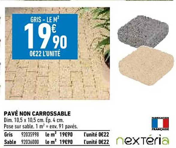 pavé non carrossable nextéria