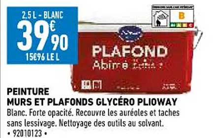 Peinture Murs Et Plafonds Glycéro Plioway