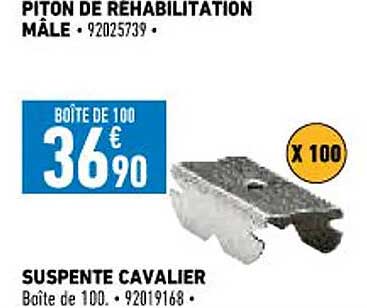 piton de rehabilitation mâle, suspente cavalier