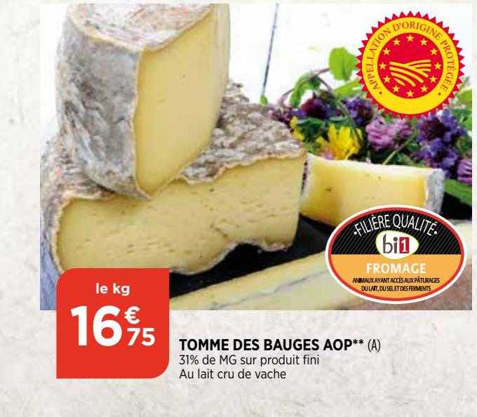 tomme de bauges aop