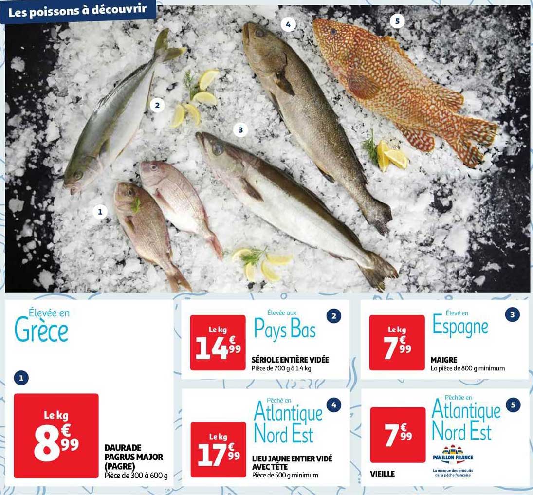 daurade pagrus major (pagre), sériole entière vidée, lieu jaune entier vidé avec tête, maigre, vieille