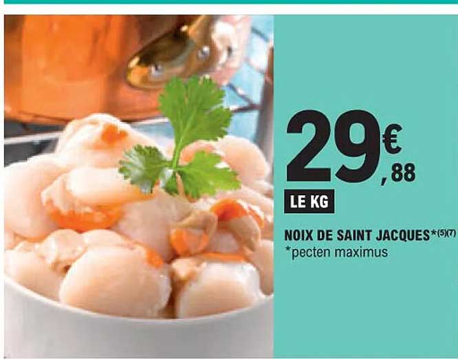 noix de saint jacques