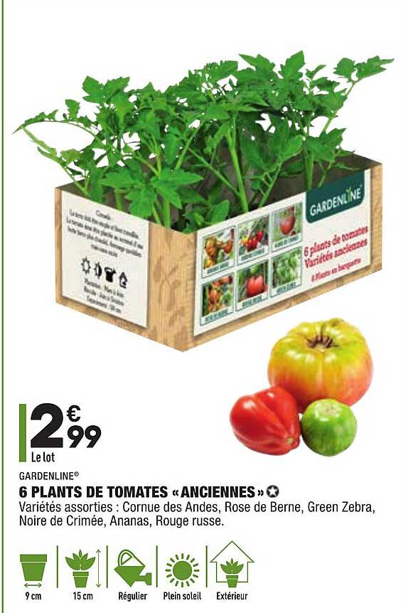 6 plants de tomates "anciennes" gardenline