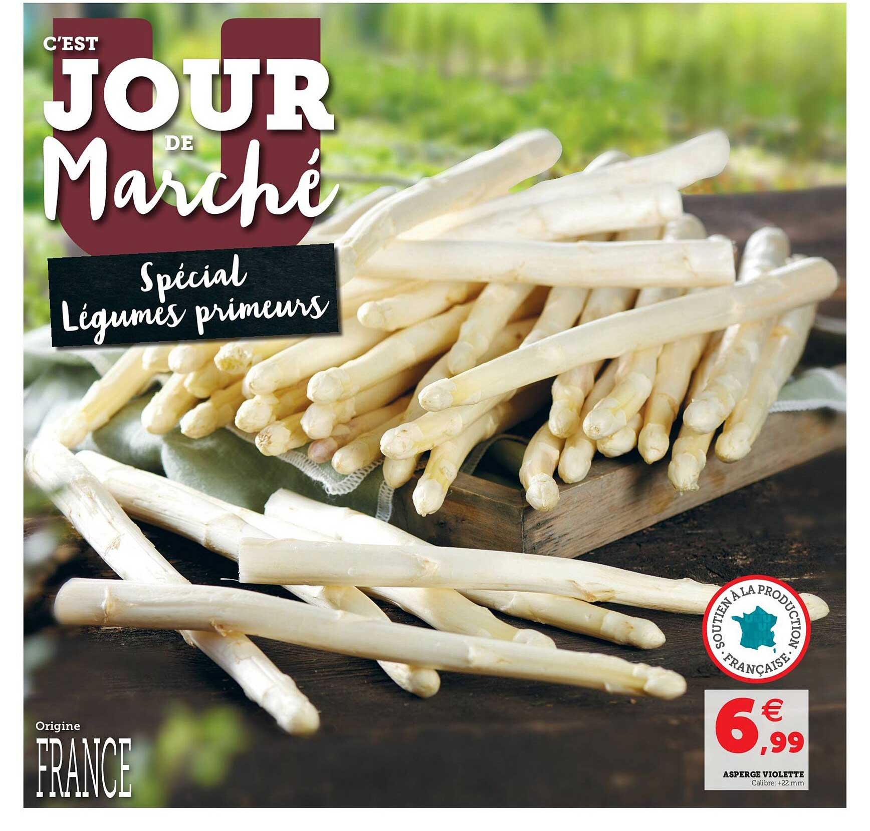 asperge violette +22 mm