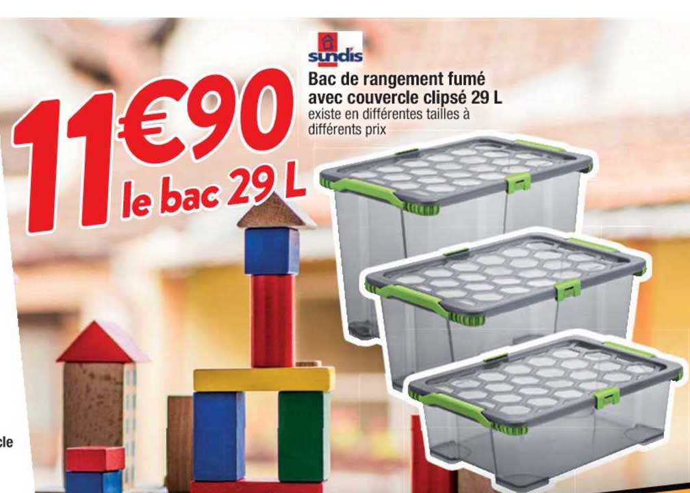 bac de rangement fumé avec couvercle clipsé 29 l sundis