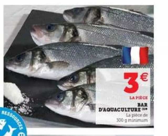 Bar D'aquaculture