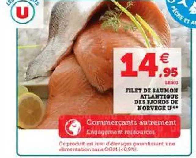 Filet De Saumons Atlantique Des Fjords De Norvège U