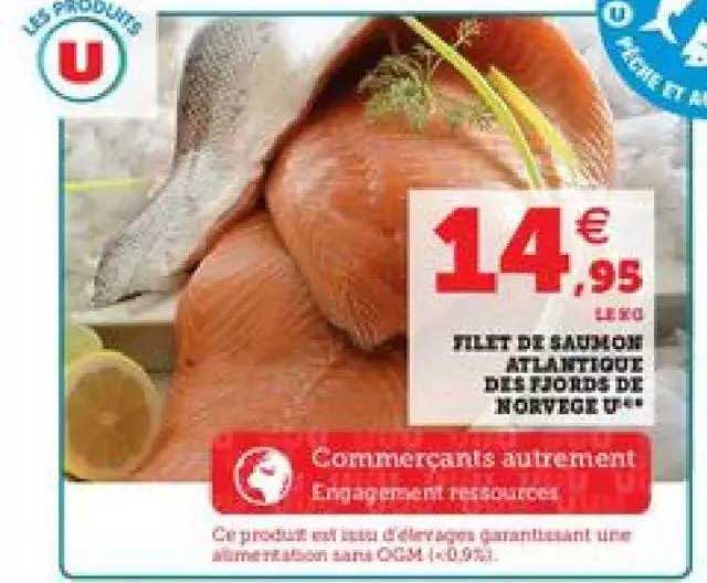 Filet De Saumons Atlantique Des Fjords De Norvège U