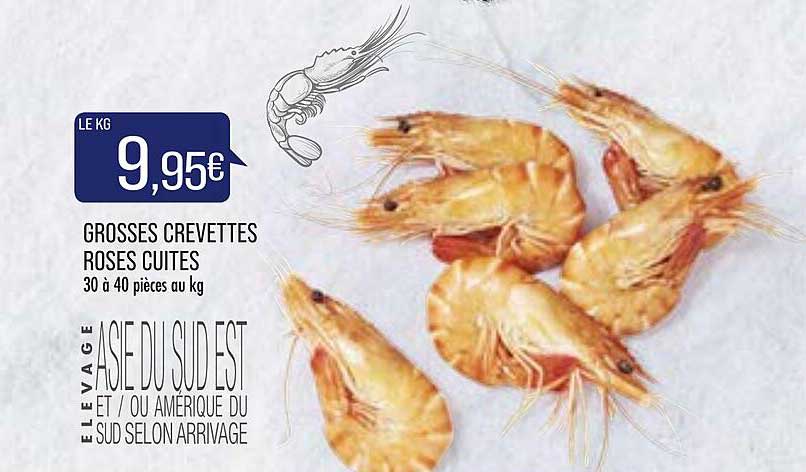 Grosses Crevettes Roses Cuites