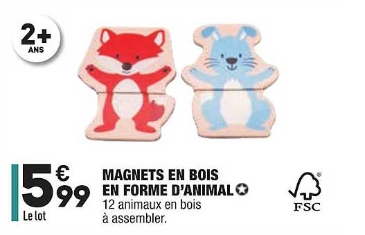 magnets en bois en forme d'animal