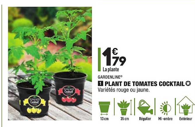 plant de tomates cocktail gardenline