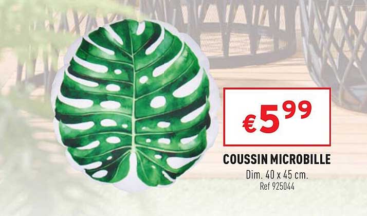 Coussin Microbille