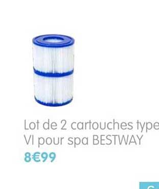 lot de 2 cartouches type vi pour spa bestway