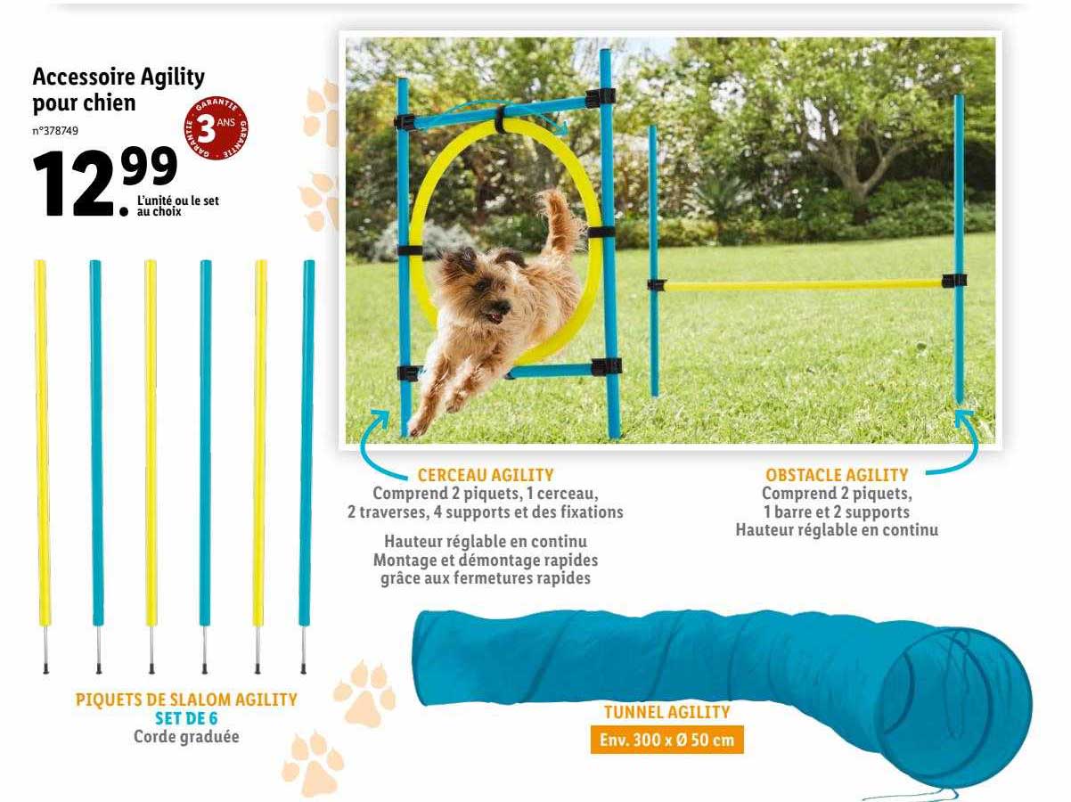 accessoire agility pour chien