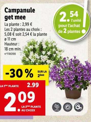 campanule get mee