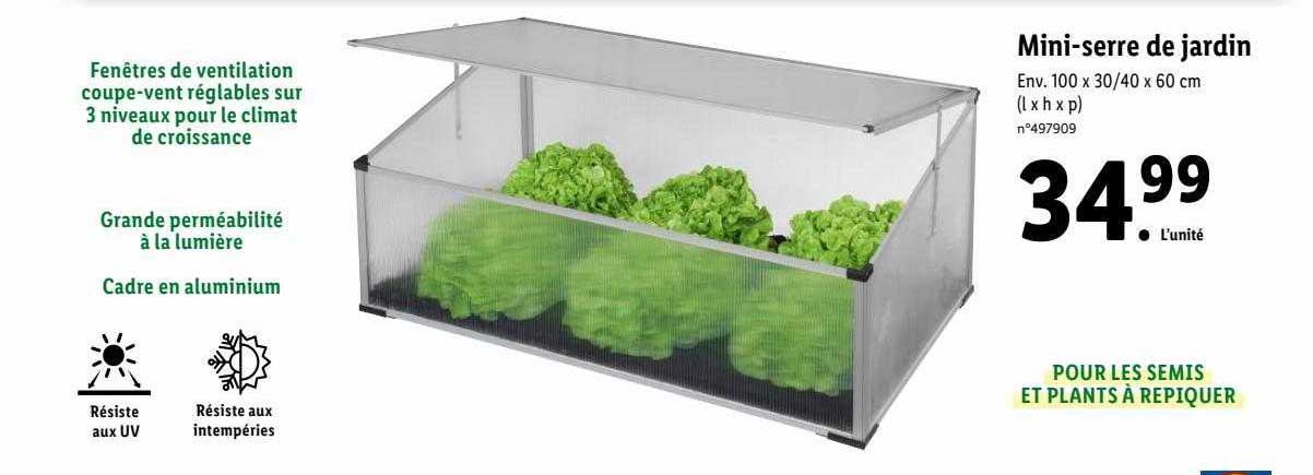 mini-serre de jardin