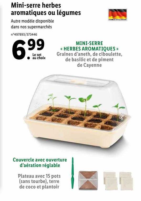 mini-serre herbes aromatiques ou légumes