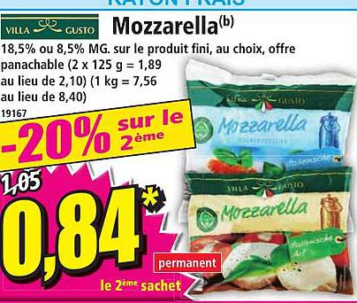 mozzarella villa gusto