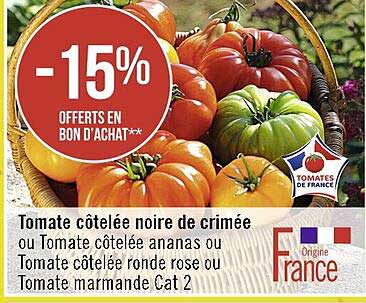 tomate côtelée noire de crimée