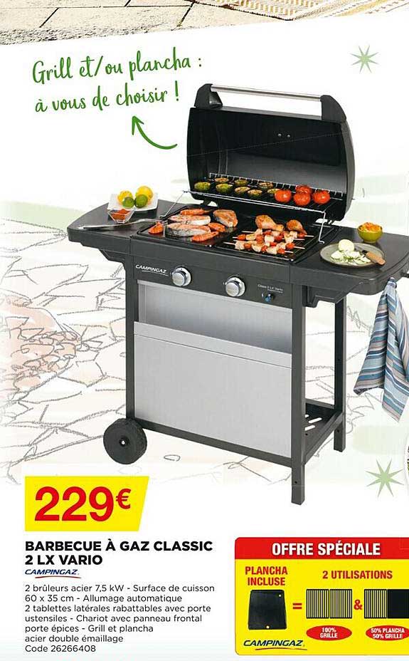 barbecue à gaz classic 2 lx vario