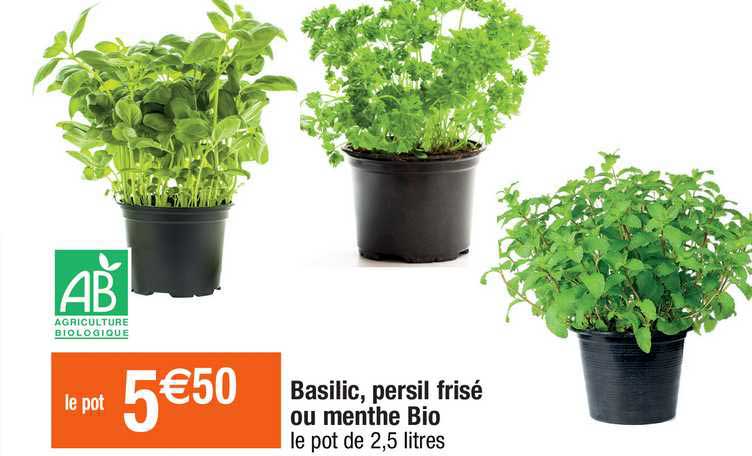 basilic, persil frisé ou menthe bio