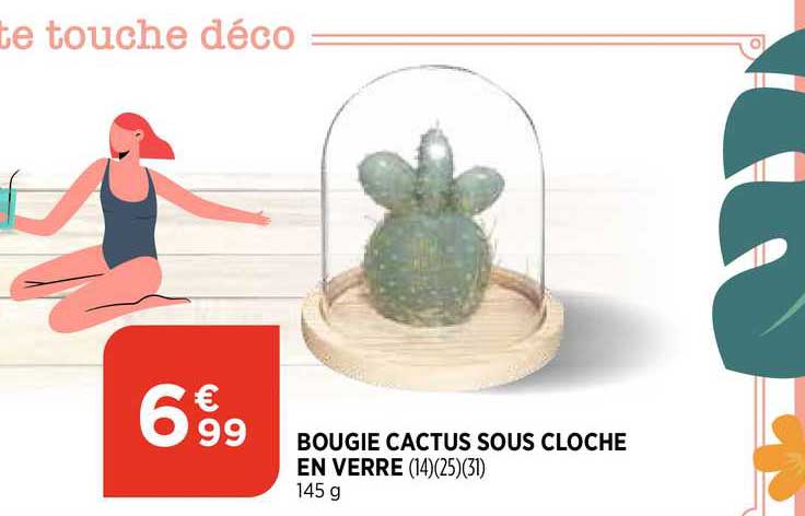 bougie cactus sous cloche en verre