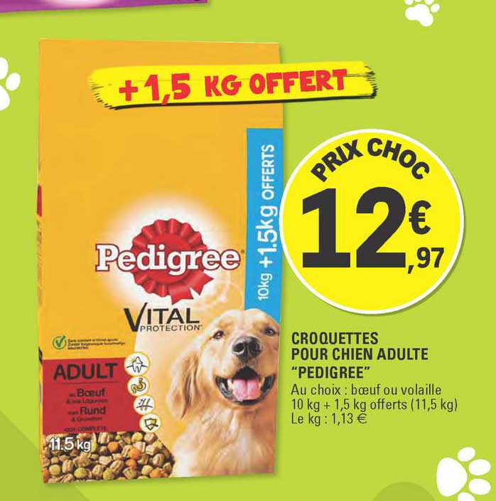 Croquettes Pour Chine Adulte Pedigree