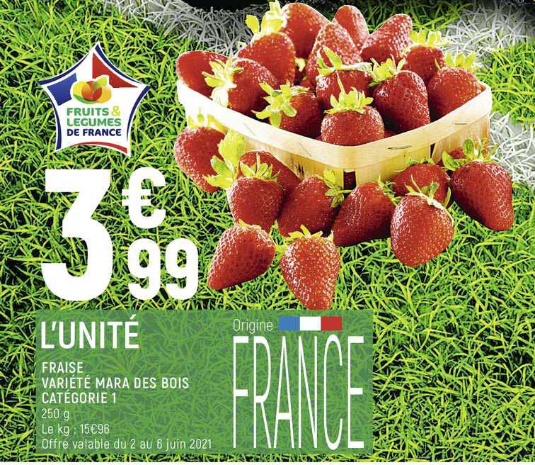 fraise mara des bois