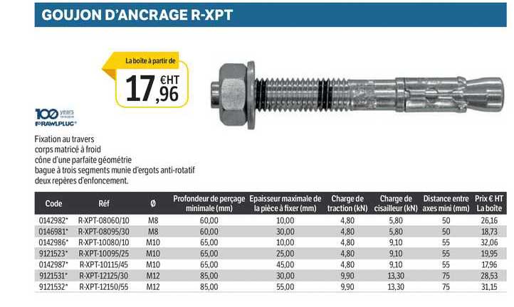 goujon d'ancrage r-xpt