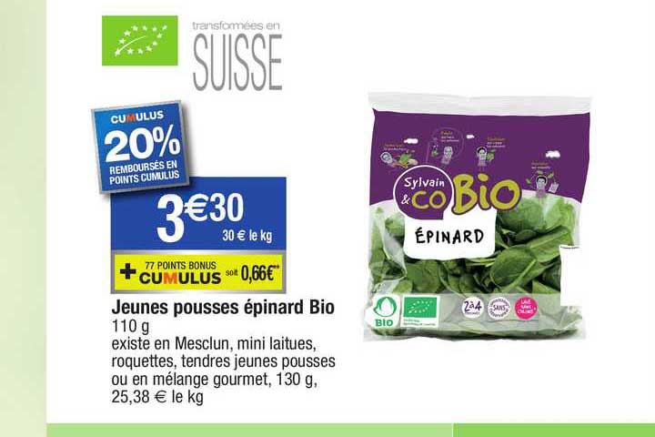 jeunes pousses épinard bio