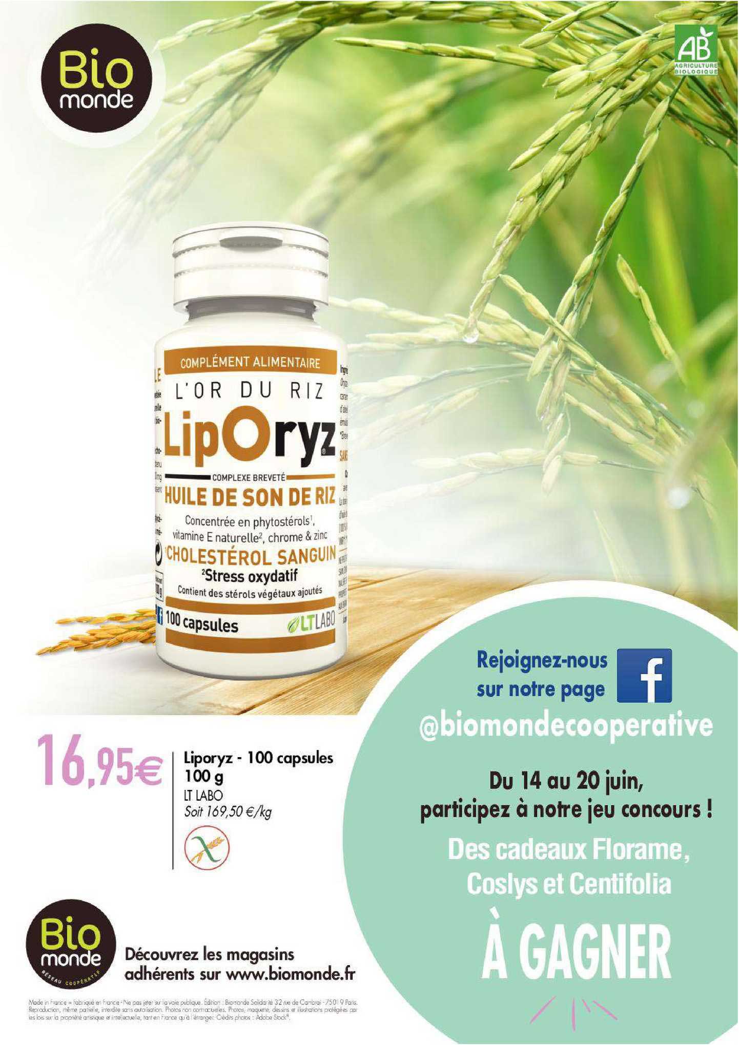 liporyz 100 capsules 100 g lt labo