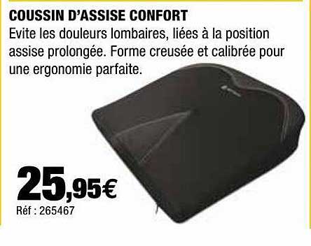 coussin d'assise confort