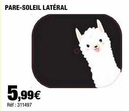 pare-soleil latéral
