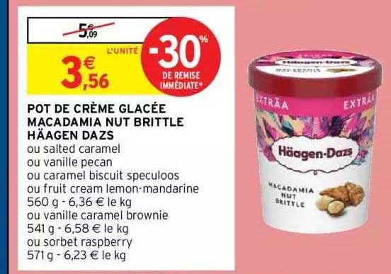 pot de crème glacée macadamia nut brittle häagen dazs