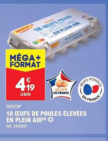 18 œufs de poules élevées en plein air picota
