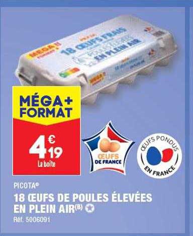 18 œufs de poules élevées picota