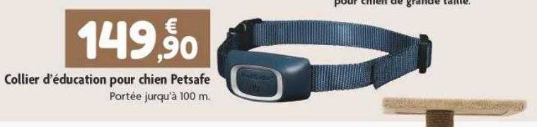 collier d'éducation pour chien petsafe