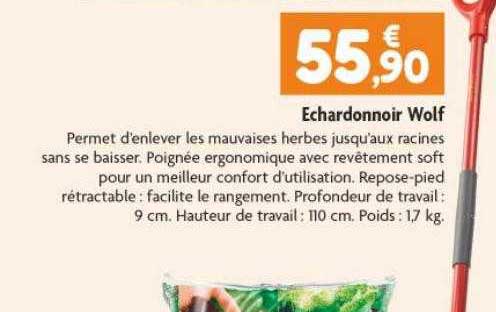 échardonnoir wolf