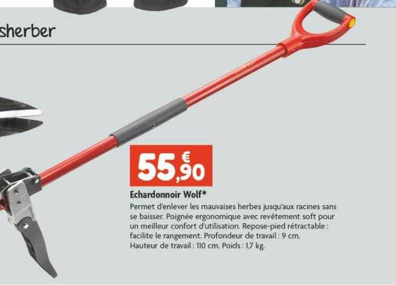 échardonnoir wolf