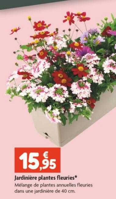 jardinière plantes fleuries