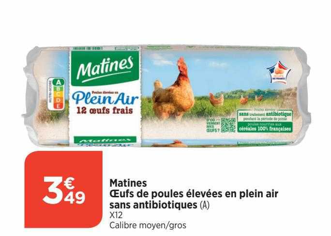 œufs de poules élevées en plein air sans antibiotiques matines