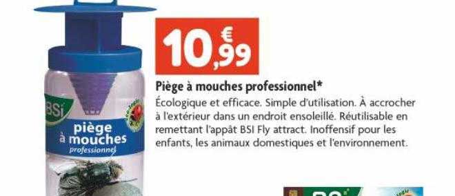 Piège à Mouches Professionnel