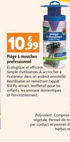 piège à mouches professionnel